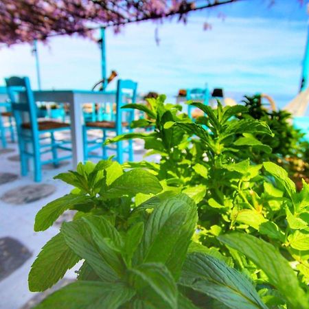 Benitsa Beach Hotel 아킬레이온 외부 사진